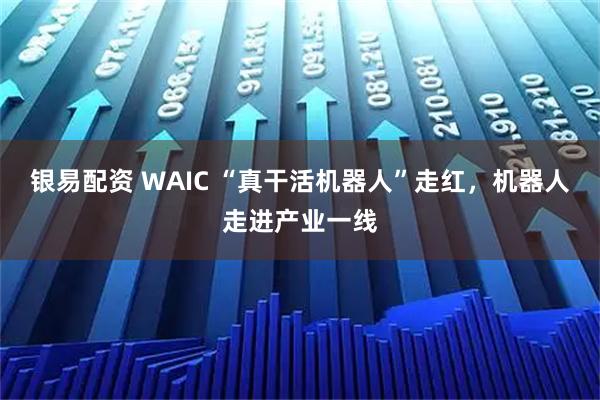 银易配资 WAIC “真干活机器人”走红，机器人走进产业一线