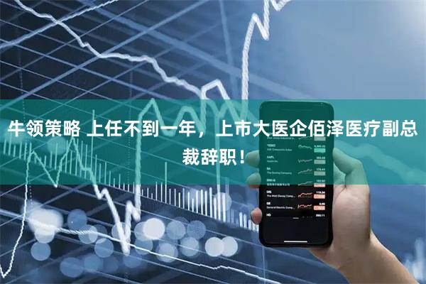 牛领策略 上任不到一年，上市大医企佰泽医疗副总裁辞职！
